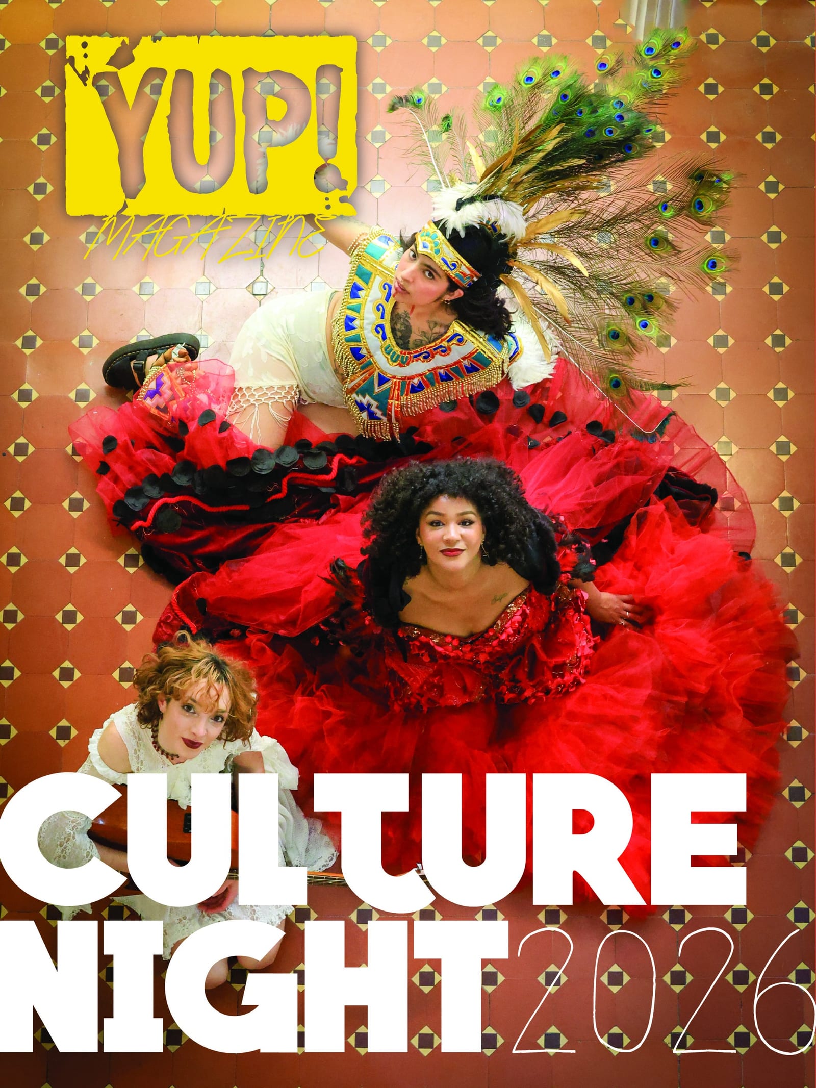 Culture Night Launch — photo 4