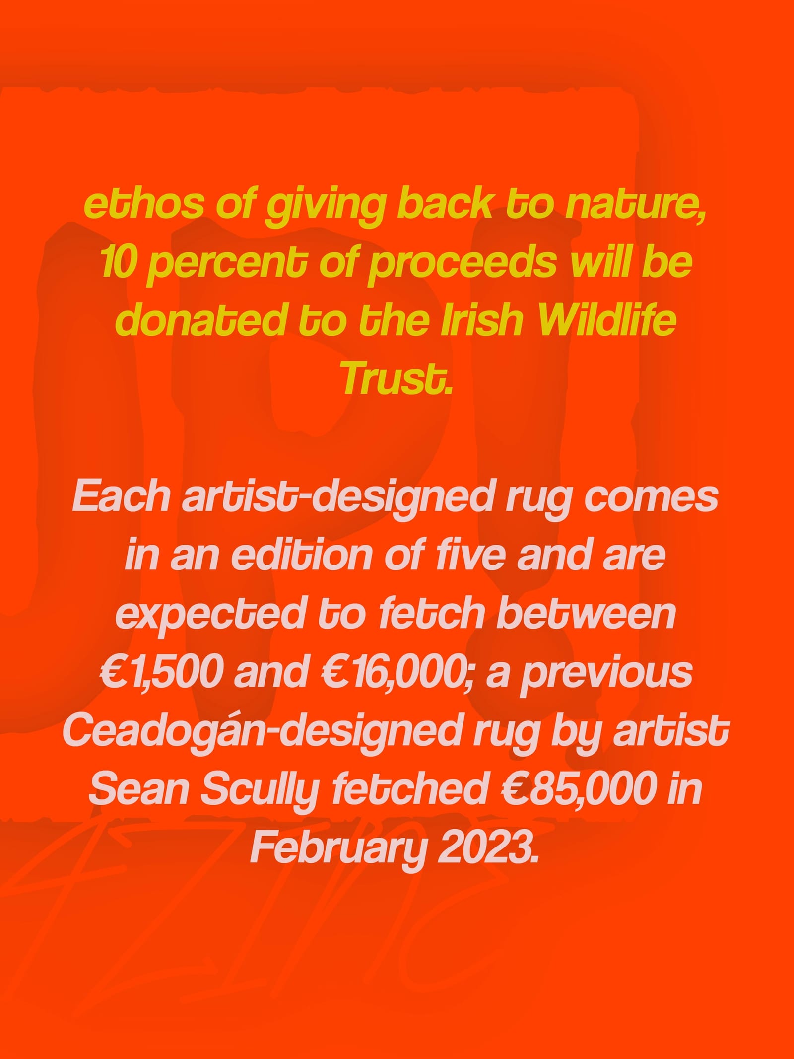 Rug Exhibition — photo 7