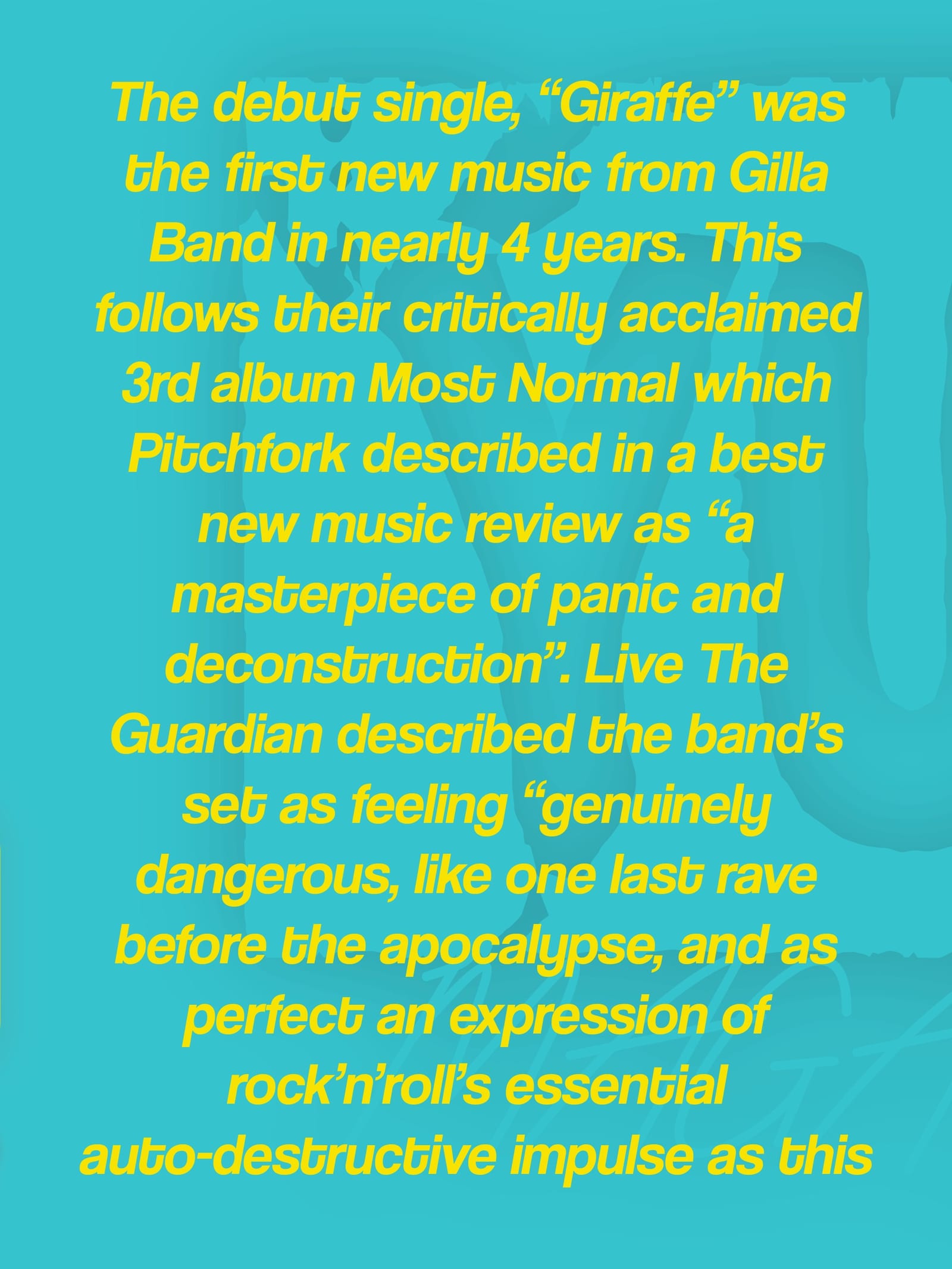 Gilla Band — photo 2