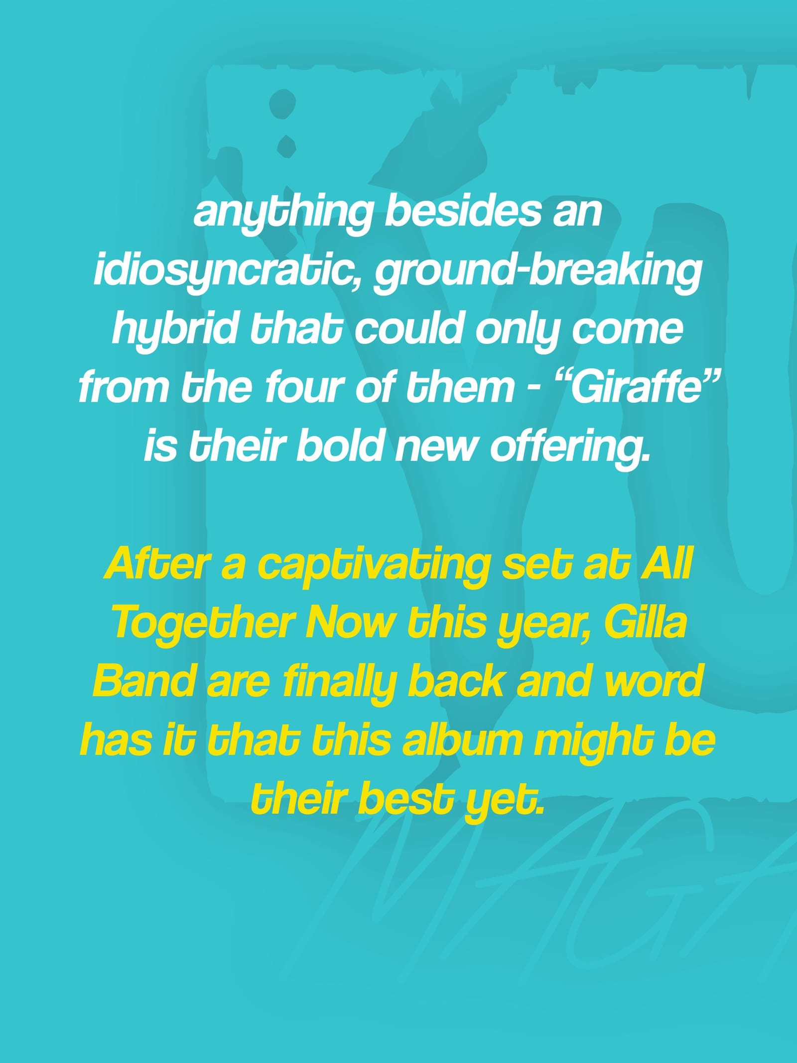 Gilla Band — photo 4